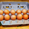 Organic Eggs
