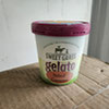 Gelato - Salted Carmel