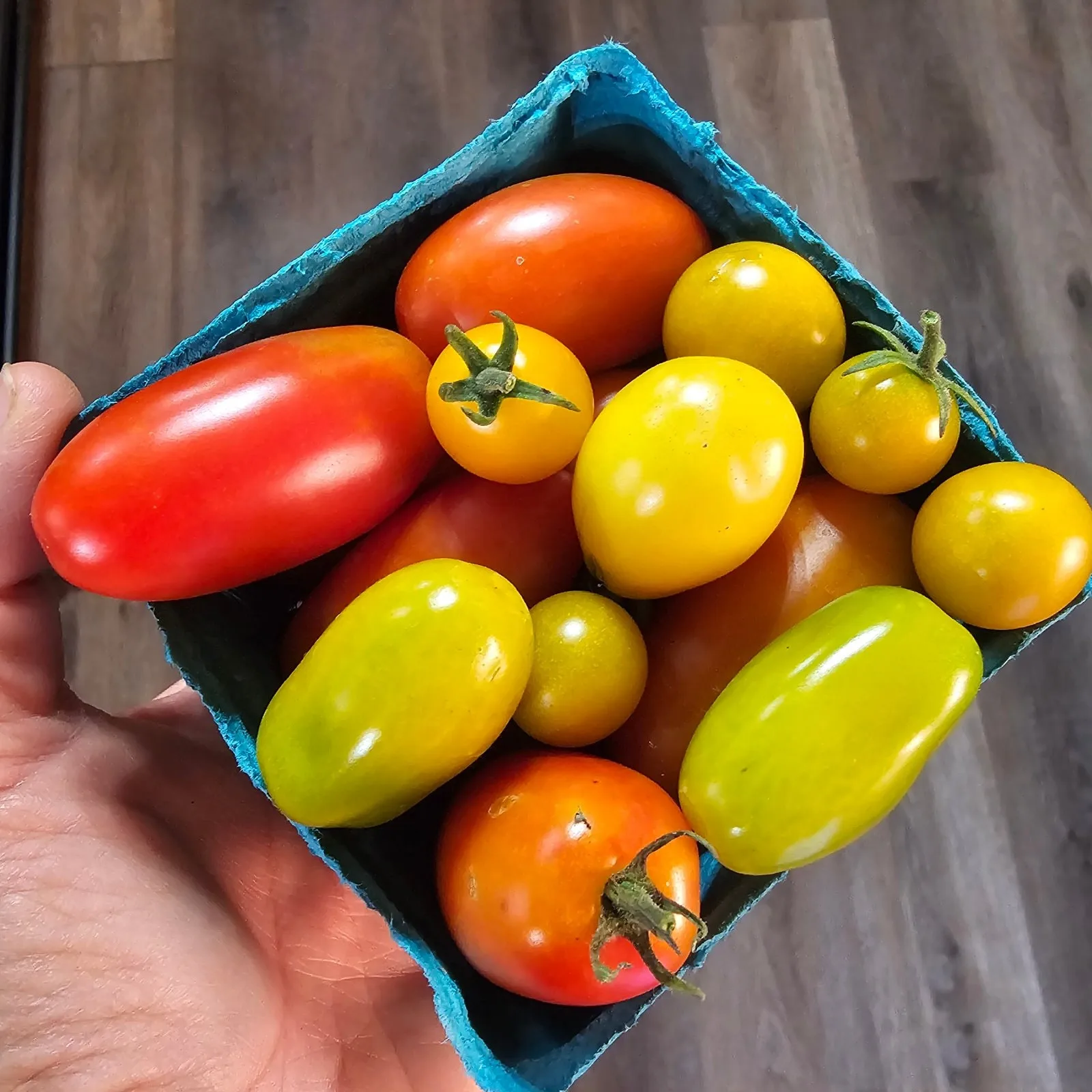 Tomatoes