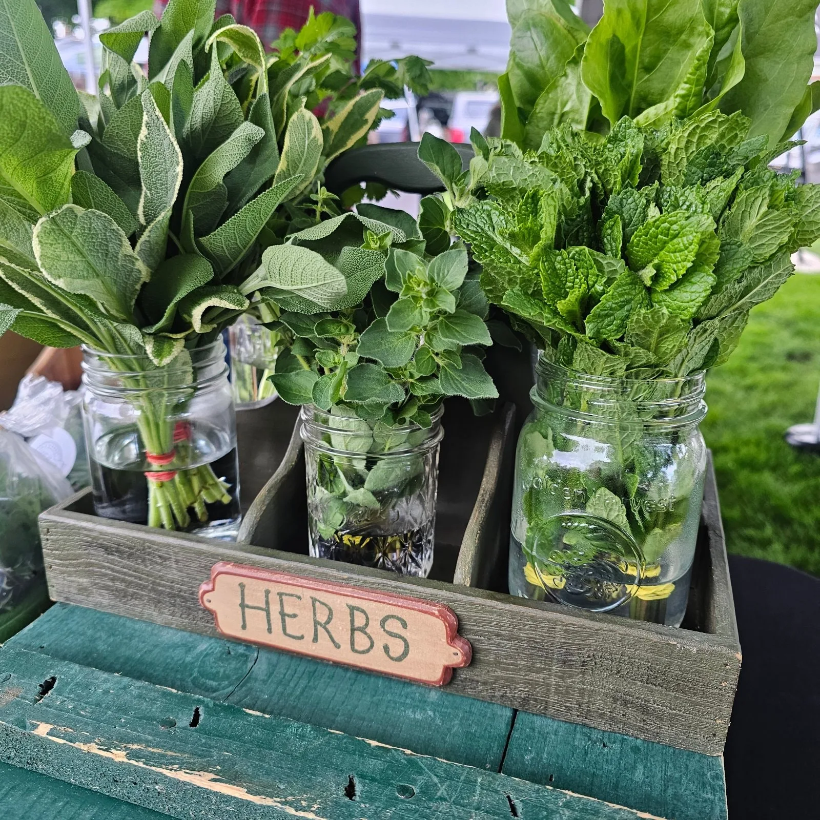 Fresh Herb Bunches