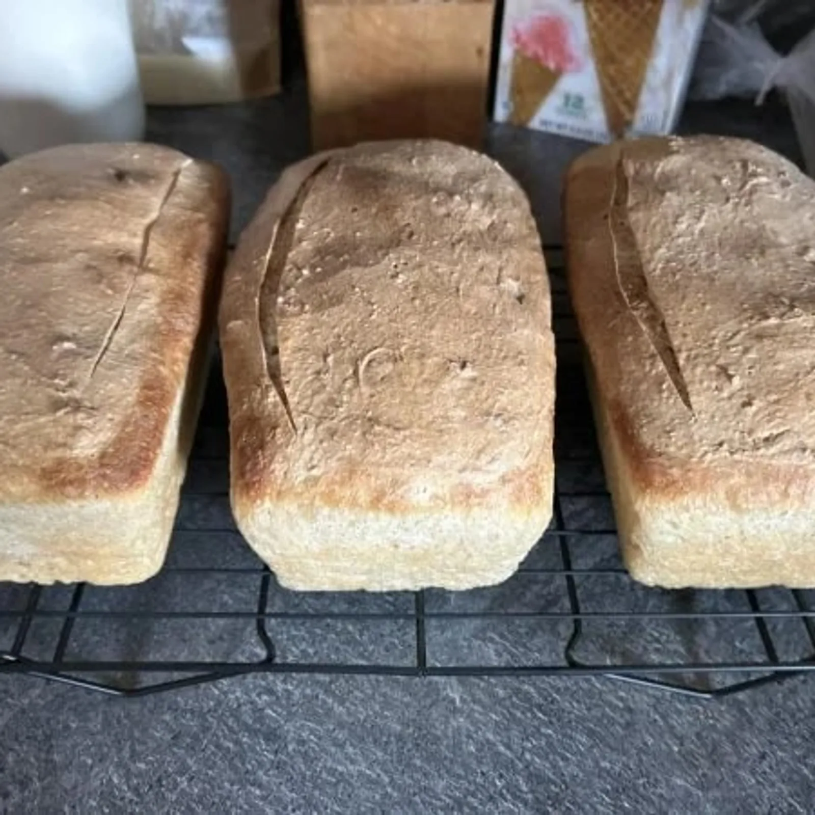 Sourdough Sandwich Bread, Organic