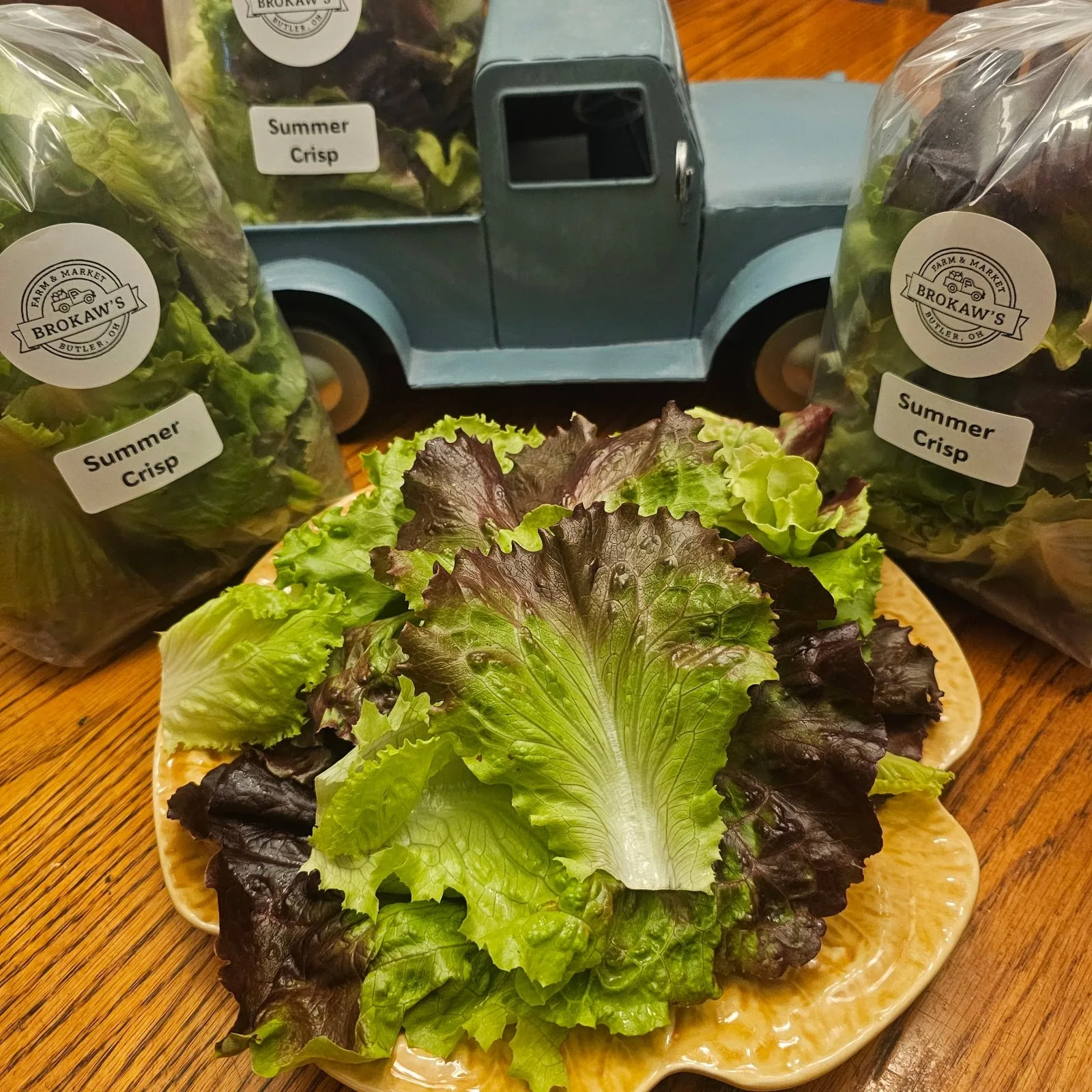 Salad Mix, Seasonal Blend