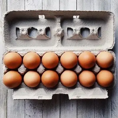 Organic Free Range Eggs