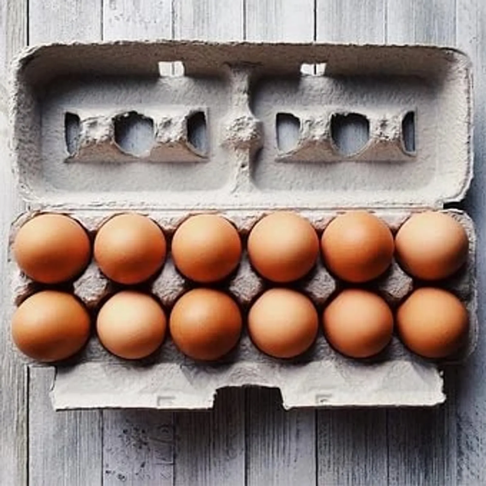 Organic Free Range Eggs