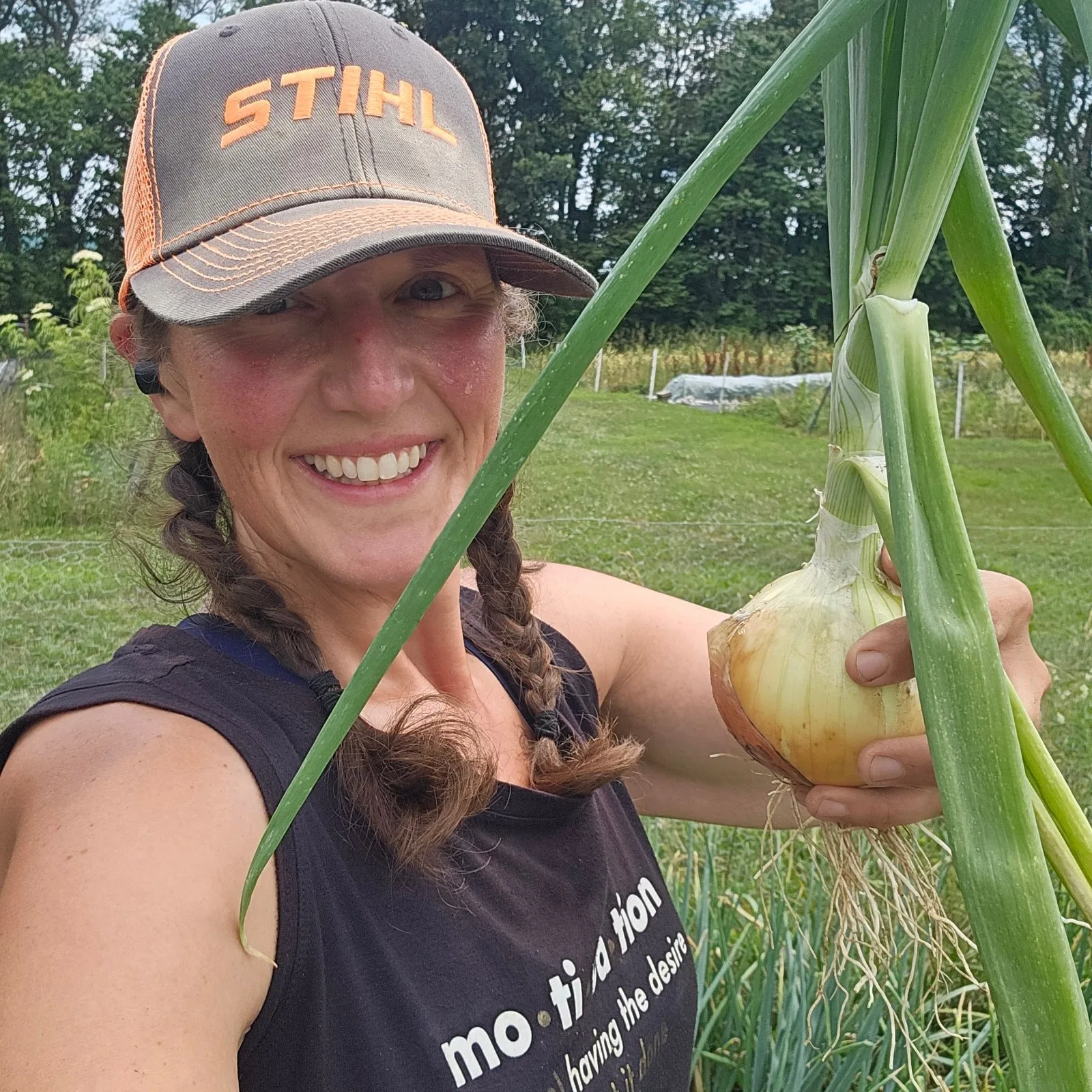 Candy Onions