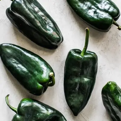 Poblano Peppers