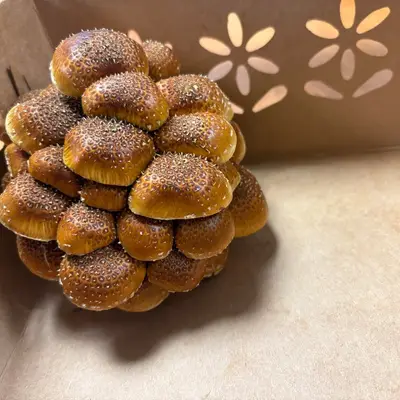 Chestnut Mushrooms