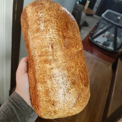 Protein Sandwich Bread