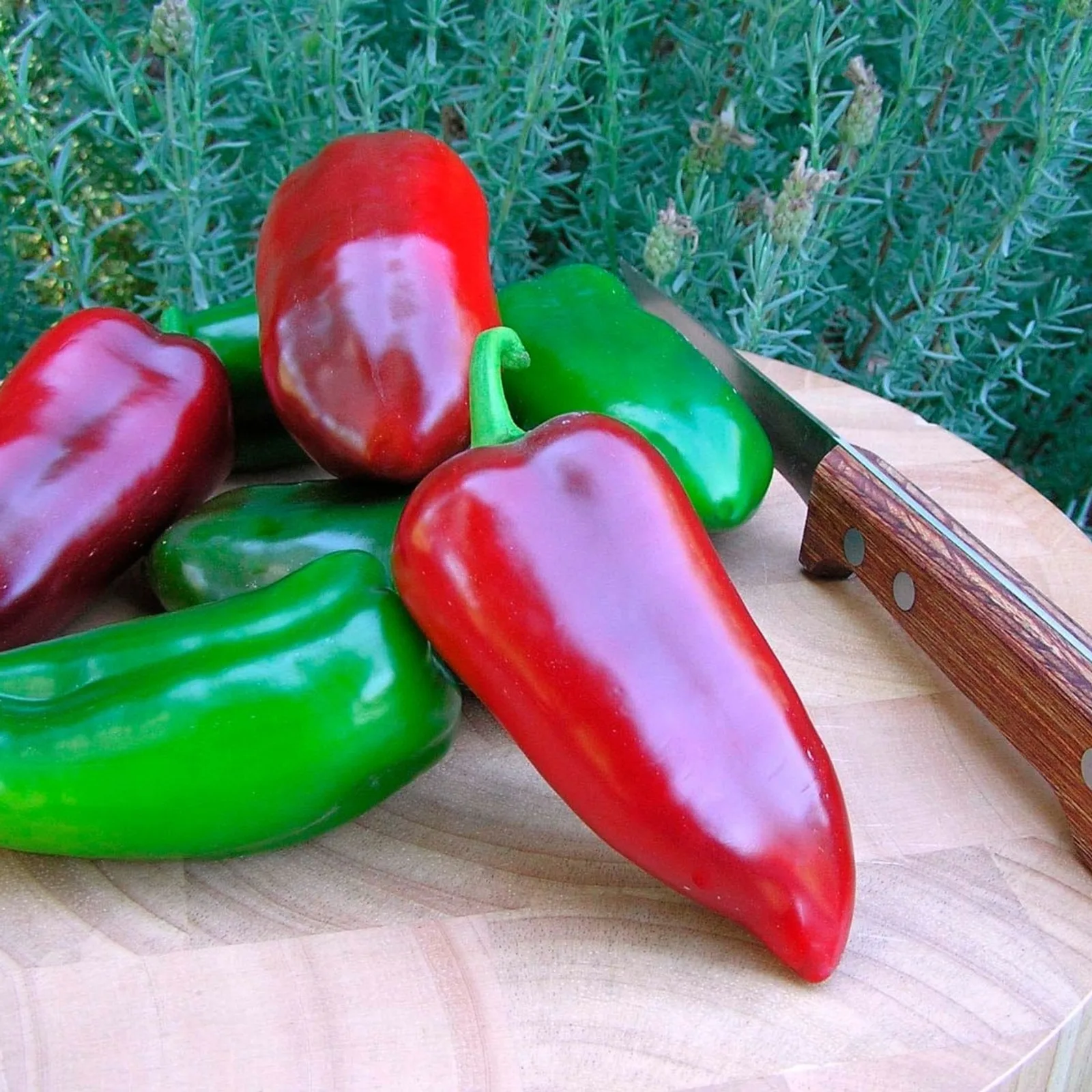 Peppers, Pizza