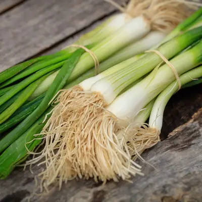 Scallions
