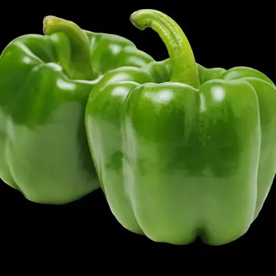 Green bell sweet pepper
